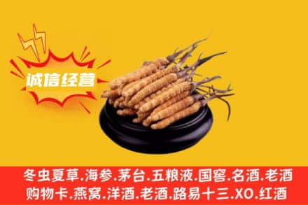 普洱市思茅回收冬虫夏草